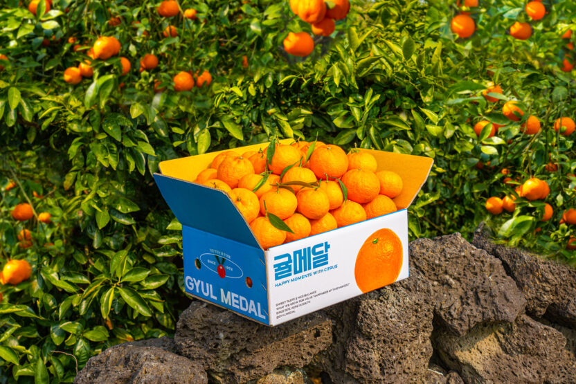 라이프스타일 브랜드가 된 제주 귤 농장, 귤메달 3 과일 01
