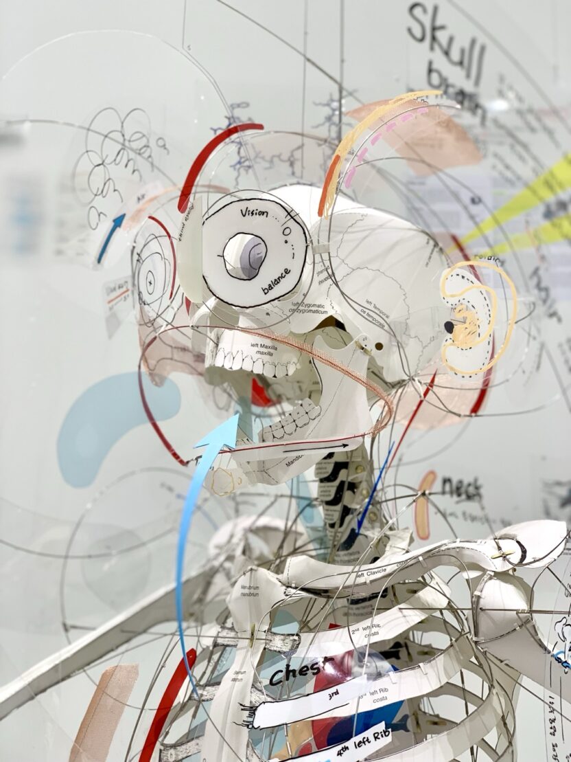 피크닉이 '달리기'를 바라보는 인문학적 관점 4 이형구 Homofugax