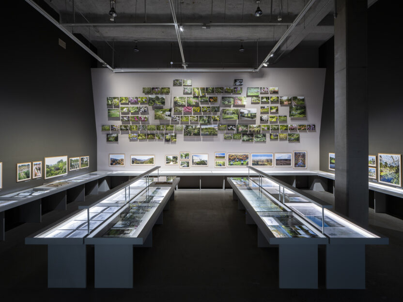 미술관에서 만난 한국 1세대 조경가 3 정영선 이땅에 숨 쉬는 모든 것을 위하여 MMCA 전시전경 04