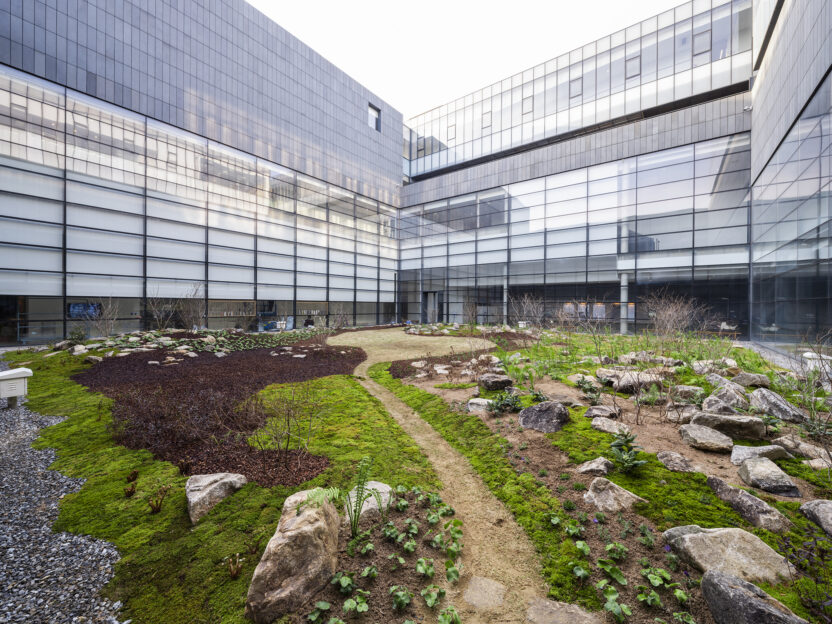 미술관에서 만난 한국 1세대 조경가 6 정영선 이땅에 숨 쉬는 모든 것을 위하여 MMCA 전시전경 06