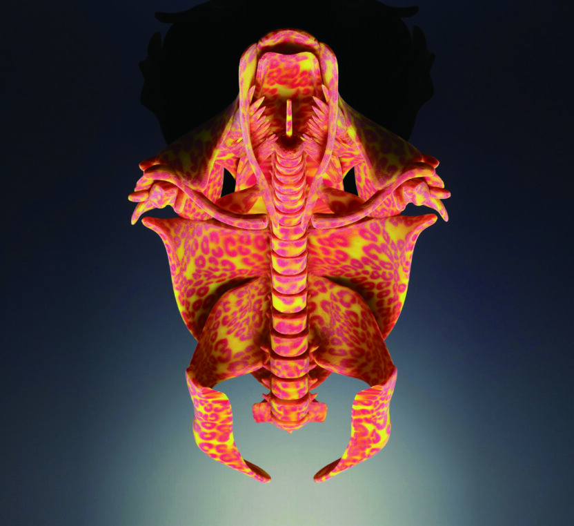 생명체의 근원에서 끌어올린 디자인 네리 옥스만 (Neri Oxman) 2 140128000006449 O 1