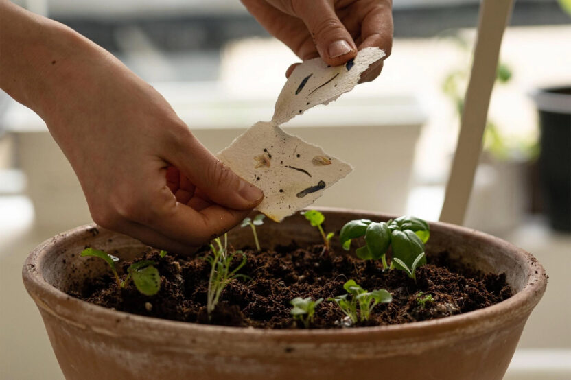 씨앗을 매개로 한 새로운 감각의 식물 경험, 씨드키퍼 11 165495d706235