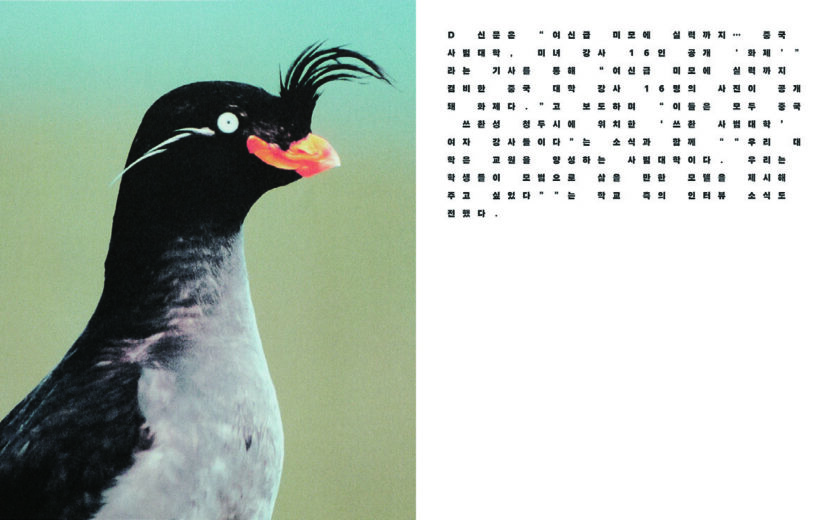 왜 이리 헛헛한 것이냐, 헤적프레스 전시 〈헛수고〉 2 201224000001497 O