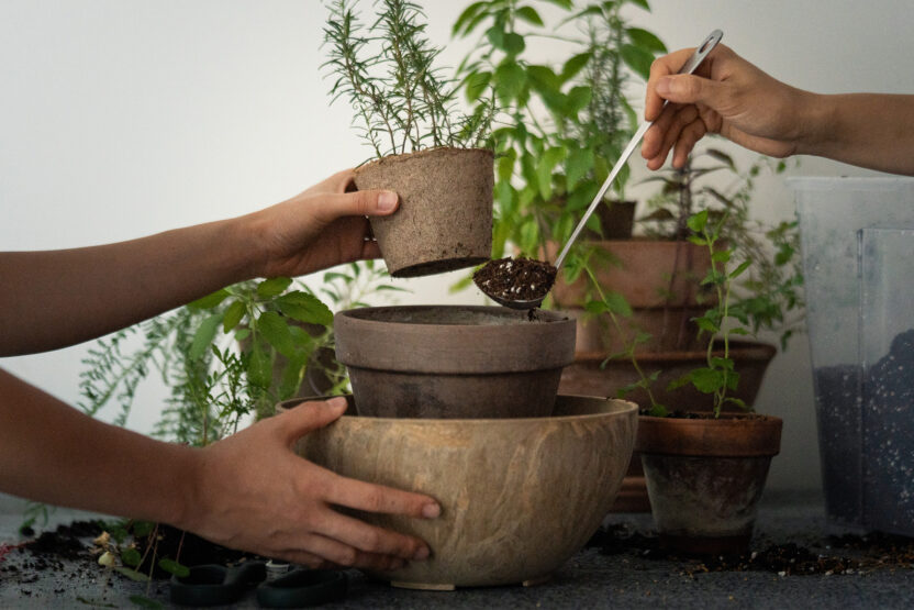 씨앗을 매개로 한 새로운 감각의 식물 경험, 씨드키퍼 24 20220801 DSC03300