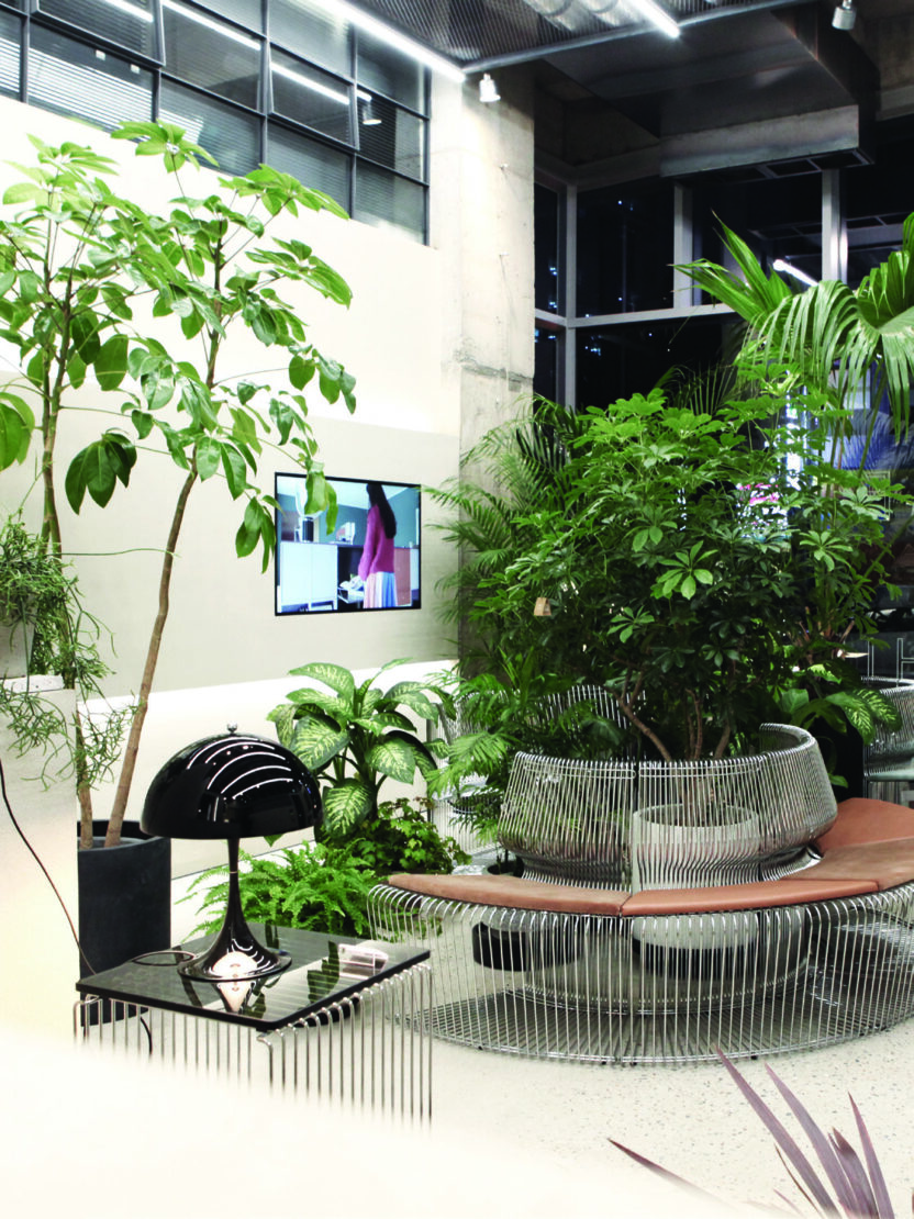 새로운 도전을 멈추지 않는 식물 전문가, 틸테이블 오주원 대표 2 210525000001799 O