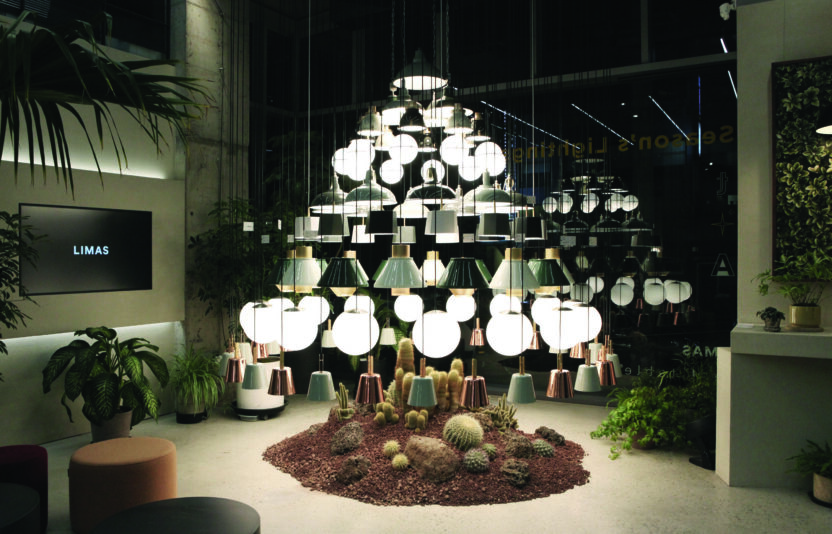 새로운 도전을 멈추지 않는 식물 전문가, 틸테이블 오주원 대표 3 210525000001800 O