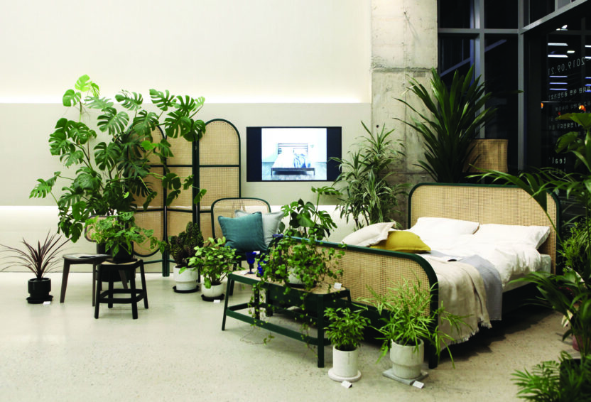 새로운 도전을 멈추지 않는 식물 전문가, 틸테이블 오주원 대표 6 210525000001802 O