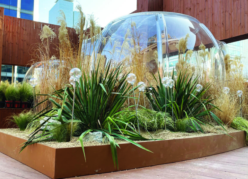 식물이 살아 있다는 감각을 잊지 않는다, 마초의 사춘기 김광수 대표 3 210525000001824 O