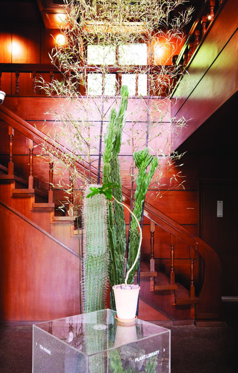 식물이 살아 있다는 감각을 잊지 않는다, 마초의 사춘기 김광수 대표 2 210525000001825 O