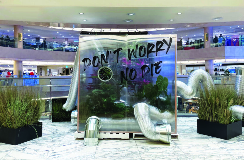 식물이 살아 있다는 감각을 잊지 않는다, 마초의 사춘기 김광수 대표 5 210525000001827 O