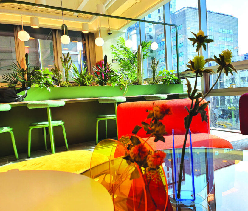 식물이 살아 있다는 감각을 잊지 않는다, 마초의 사춘기 김광수 대표 7 210525000001828 O