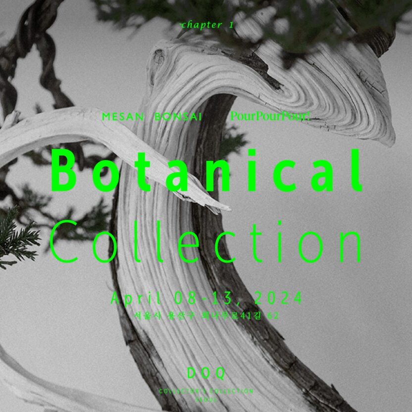 434354721 925282216274353 7768602812632567703 n