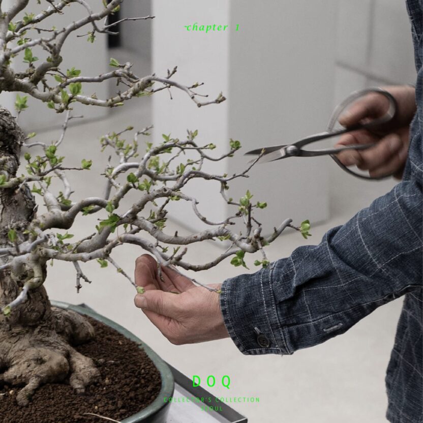 435589724 933543835448191 6798397352348258804 n