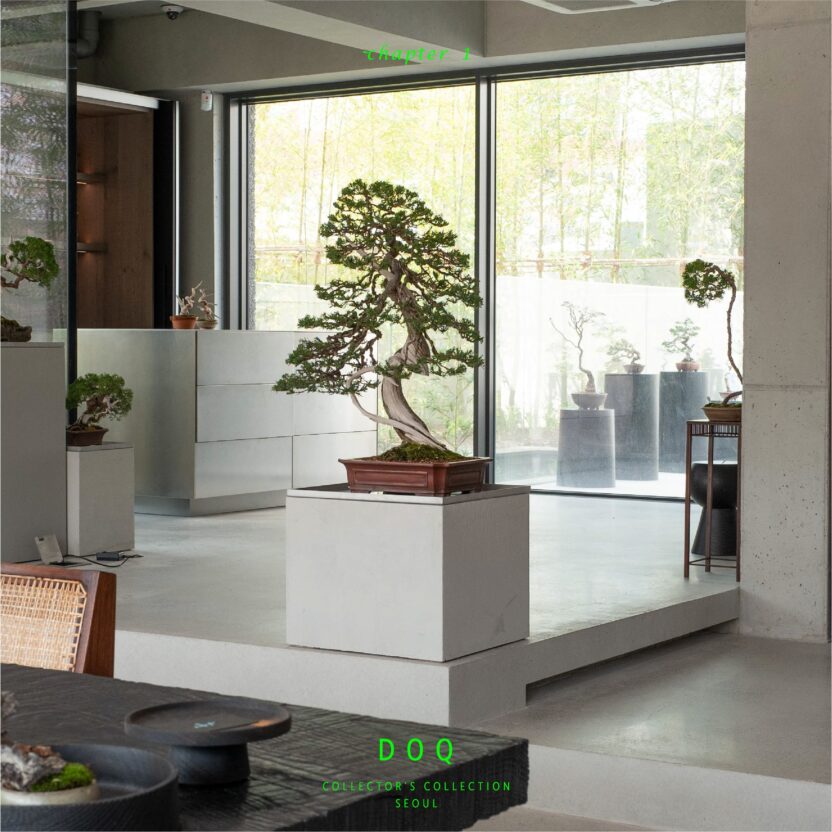 435594885 929941265808448 8801759034178392304 n