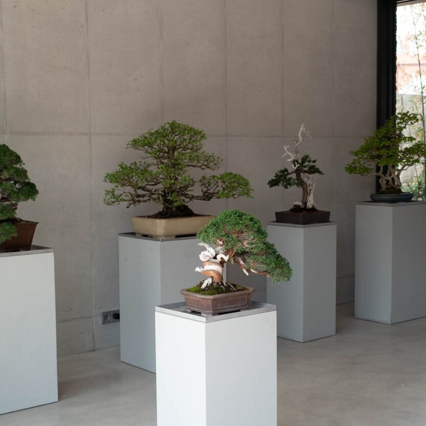 435659989 932754568860451 1385501062490677950 n