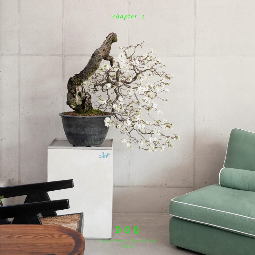 435664015 932752075527367 2275312893859132755 n