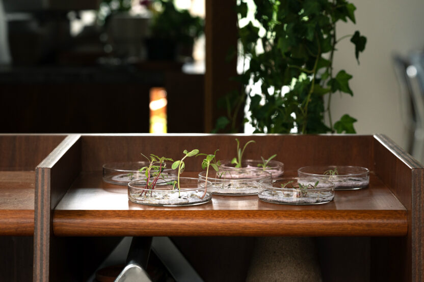 씨앗을 매개로 한 새로운 감각의 식물 경험, 씨드키퍼 1 56c3e907e774e