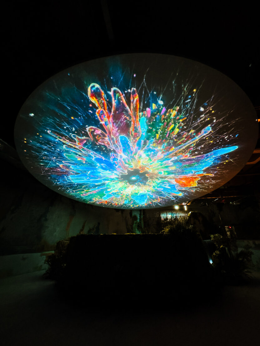 애니메이션의 재해석과 확장, 〈오: 에릭 오 레트로스펙티브〉전 2 IMG 2121