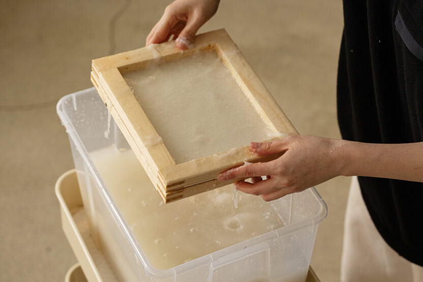 씨앗을 매개로 한 새로운 감각의 식물 경험, 씨드키퍼 9 JTT3695