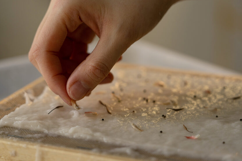 씨앗을 매개로 한 새로운 감각의 식물 경험, 씨드키퍼 10 JTT3754