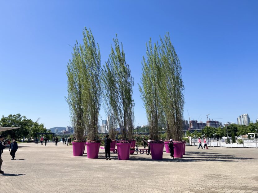 서울, 그린 바이브! <2024 서울국제정원박람회> 1 KakaoTalk 20240516 175354977