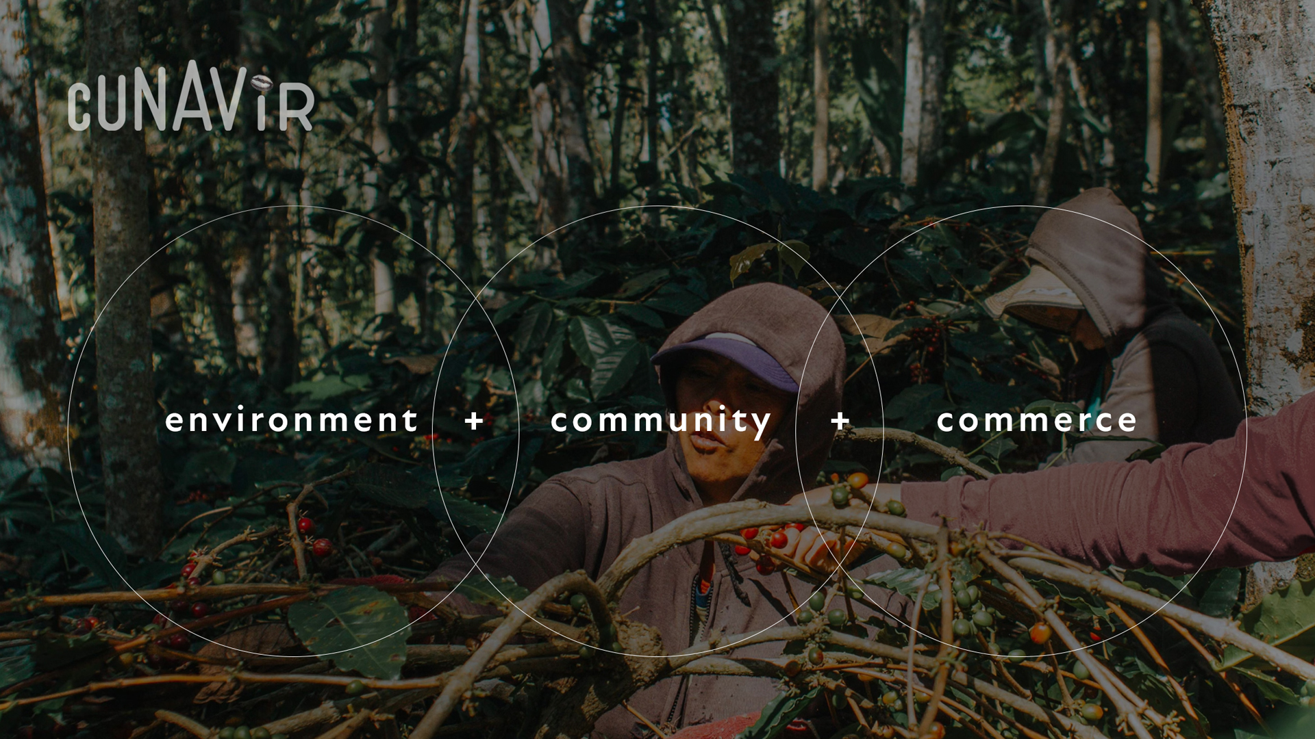 페루 스페셜티 커피 브랜드 '티에라 푸에르테(Tierra Fuerte)' 프로젝트 4 Peruvian Coffee Brand Project 02