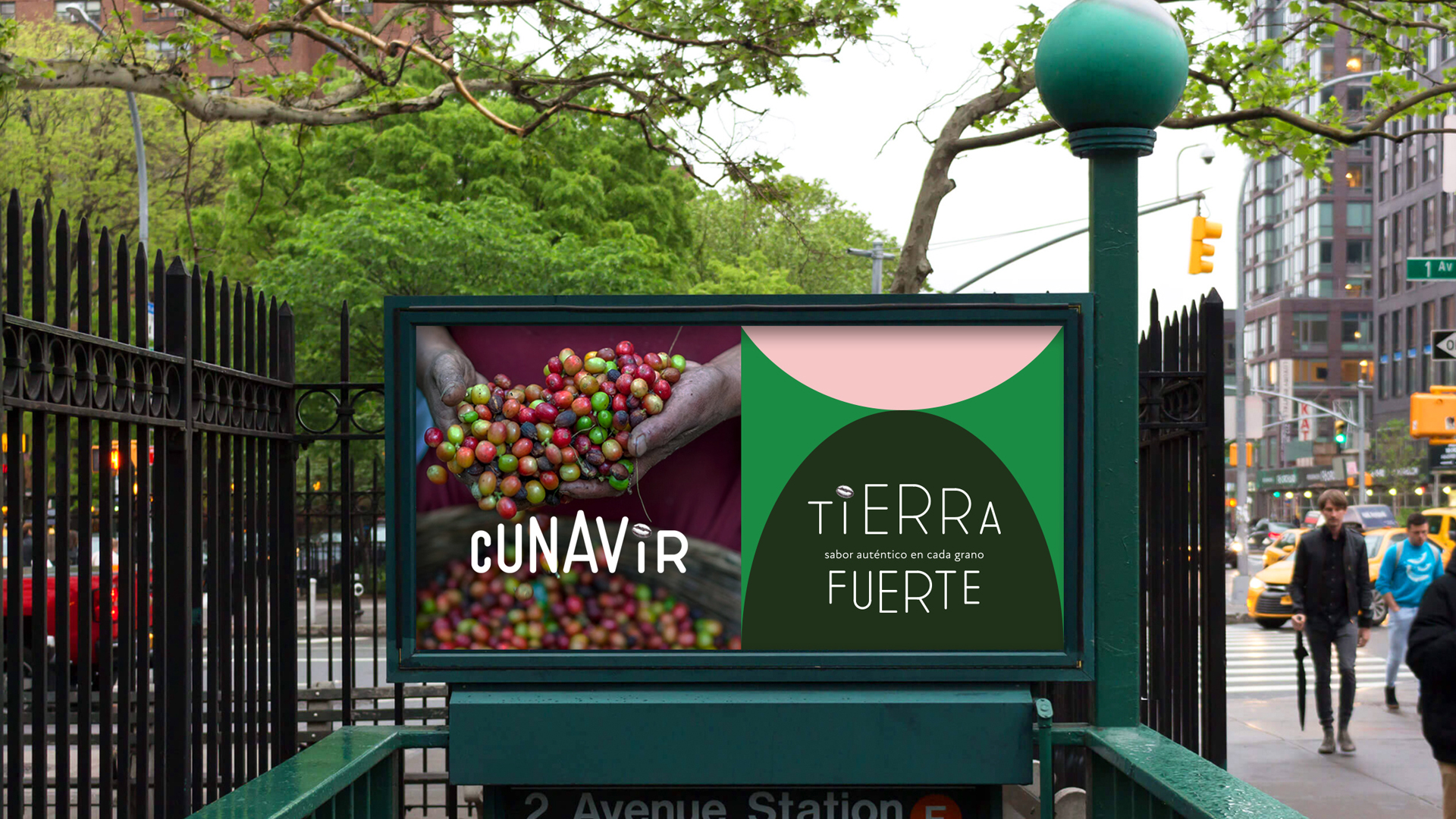 페루 스페셜티 커피 브랜드 '티에라 푸에르테(Tierra Fuerte)' 프로젝트 1 Peruvian Coffee Brand Project 07