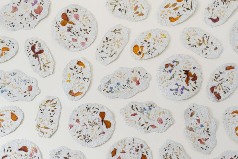 씨앗을 매개로 한 새로운 감각의 식물 경험, 씨드키퍼 15 all paper