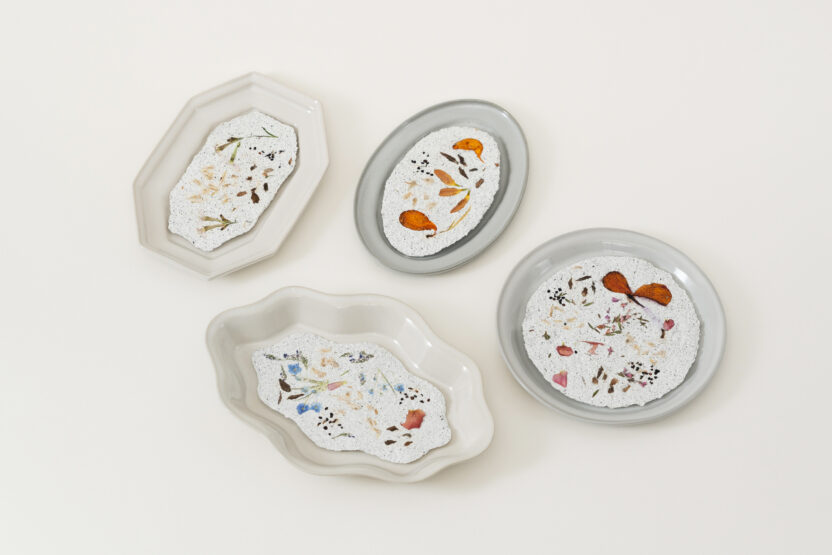 씨앗을 매개로 한 새로운 감각의 식물 경험, 씨드키퍼 16 all paperplate