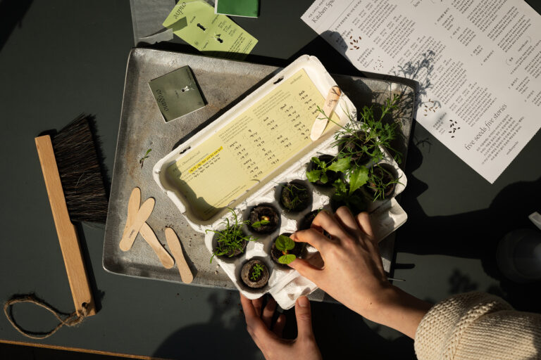 씨앗을 매개로 한 새로운 감각의 식물 경험, 씨드키퍼 20 씨앗을 매개로 한 새로운 감각의 식물 경험, 씨드키퍼