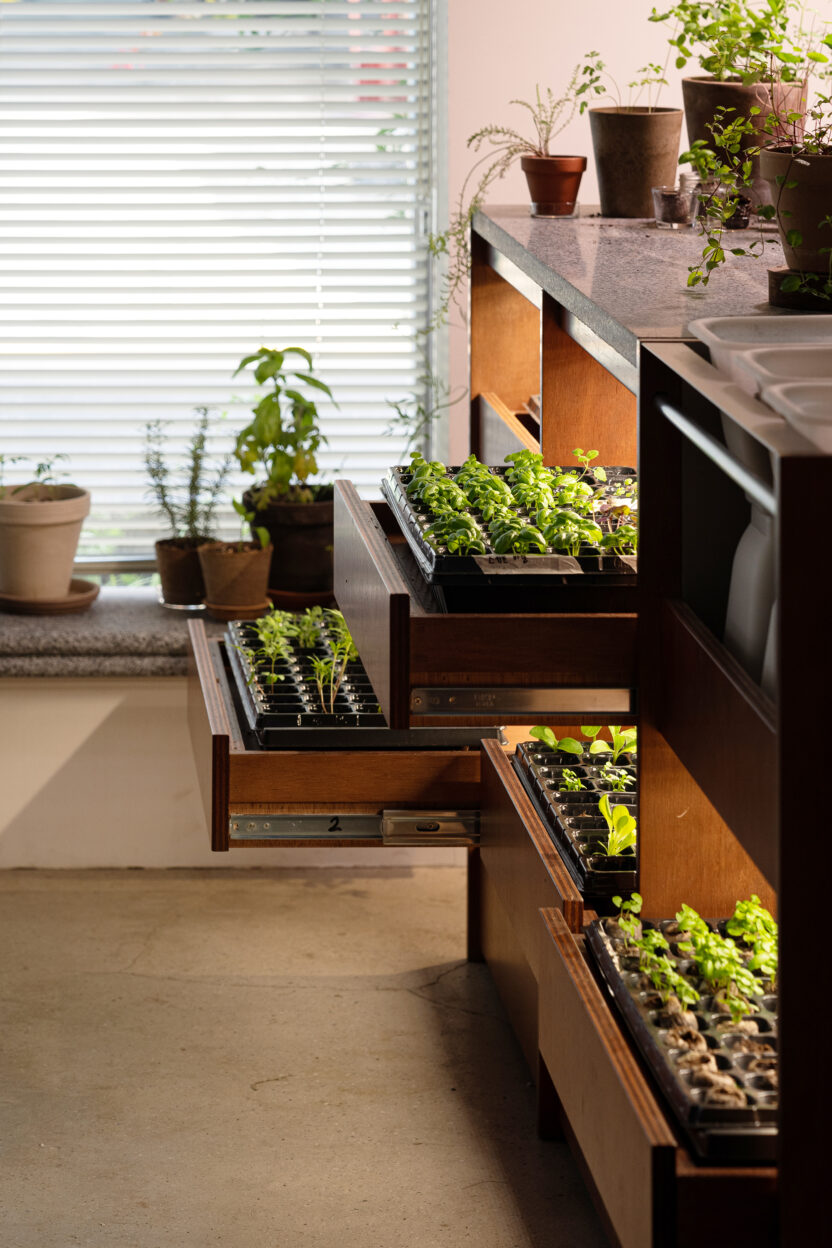 씨앗을 매개로 한 새로운 감각의 식물 경험, 씨드키퍼 19 sdkp OpenStudio 33