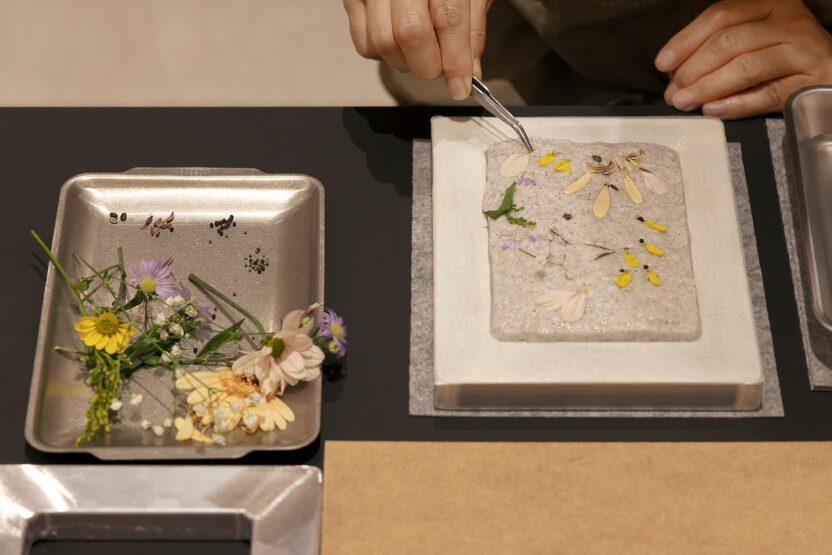 씨앗을 매개로 한 새로운 감각의 식물 경험, 씨드키퍼 20 seedkeeper 11