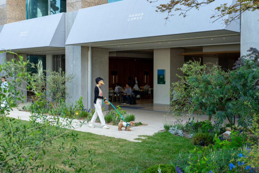 부산을 찾는 이유가 된 브랜드, 모모스커피 이현기 대표 11 마린시티 매장 전경 3