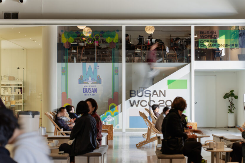 부산을 찾는 이유가 된 브랜드, 모모스커피 이현기 대표 19 영도 메인홀 1