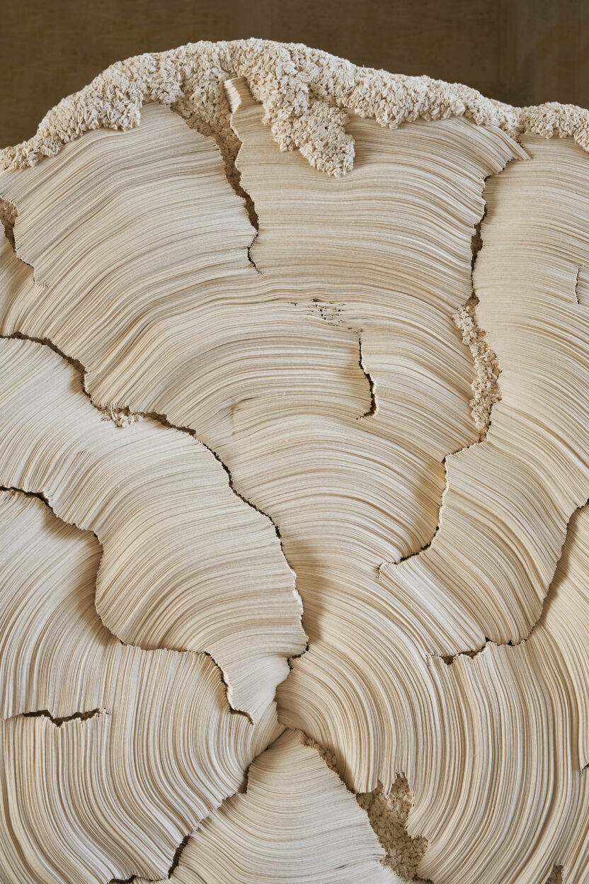 아트 파리 2024 이모저모 15 13 Simone Pheulpin Lintemporelle 2023. ©Vincent Leroux