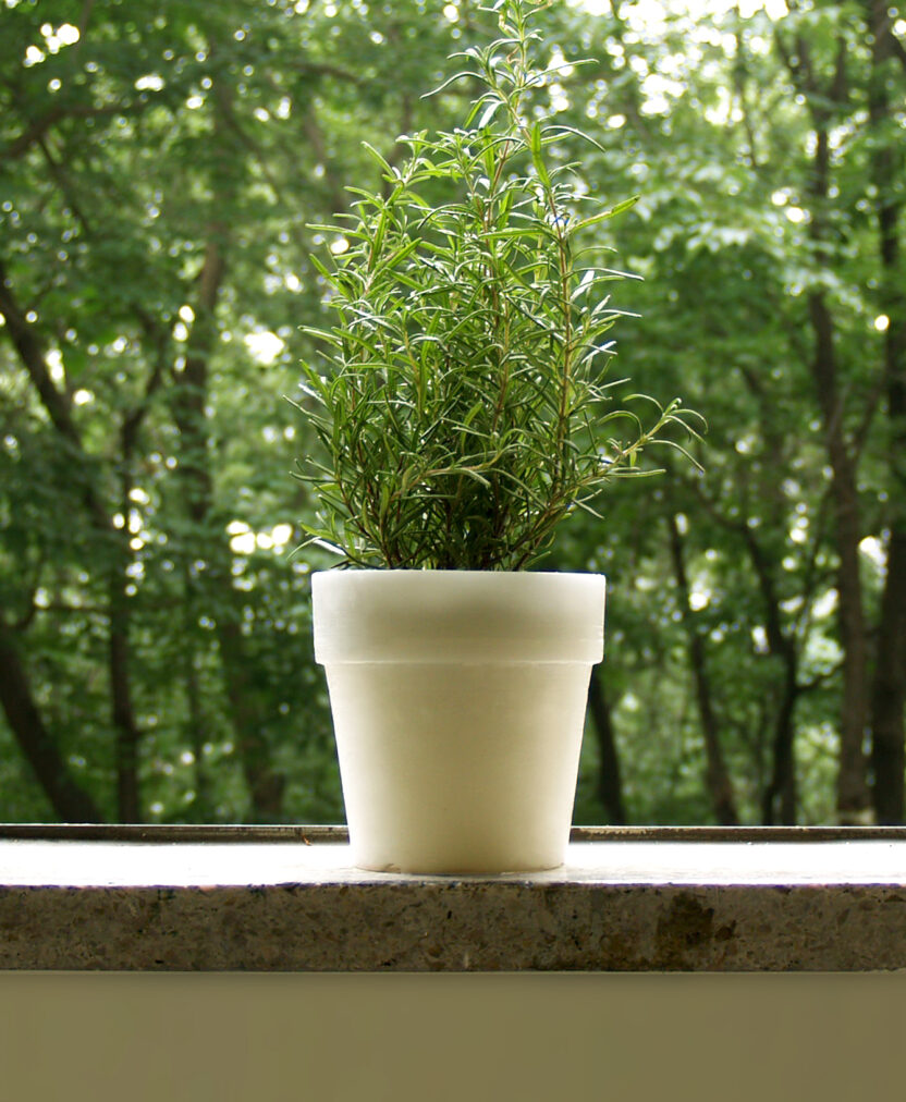 한국예술종합학교 김기현 교수 7 Memento Green 03 4 e1719297261538