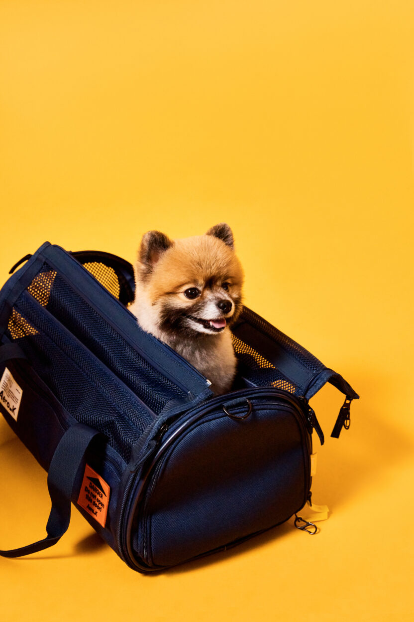 하늘 위 경험을 설계하는 BX 기획자, 나혜미 에어로케이 브랜드전략팀장 10 aeroK 1742a.jpg의 사본