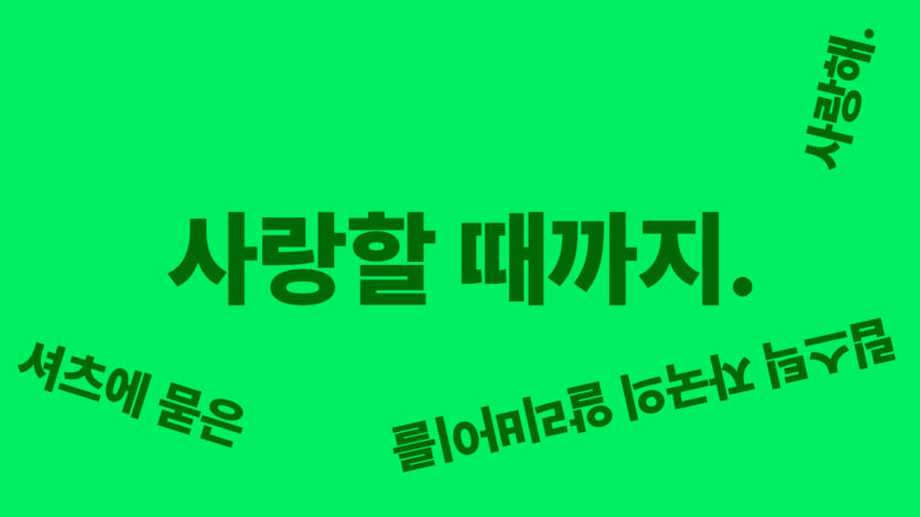 윤기와 구홍의 〈구홍과 윤기〉전 7 영상 작품 캡처 이미지3