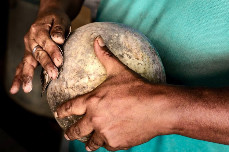 아디다스가 멕시코의 장인과 만나면? 15 15