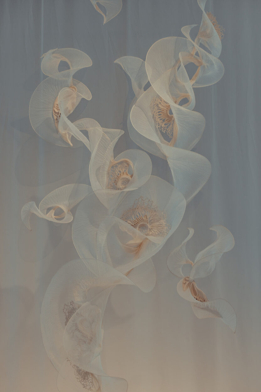 패션과 예술의 공생, 이리스 반 헤르펜의 하이브리드 쇼 5 2W7A0398