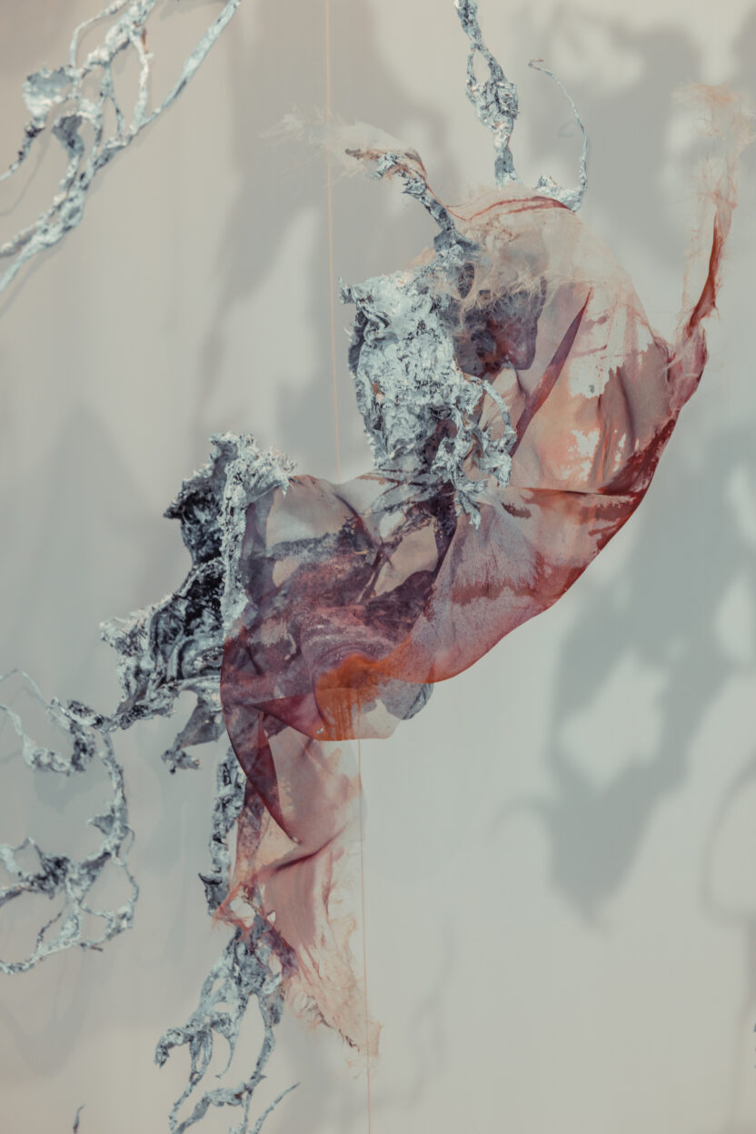 패션과 예술의 공생, 이리스 반 헤르펜의 하이브리드 쇼 6 2W7A0435