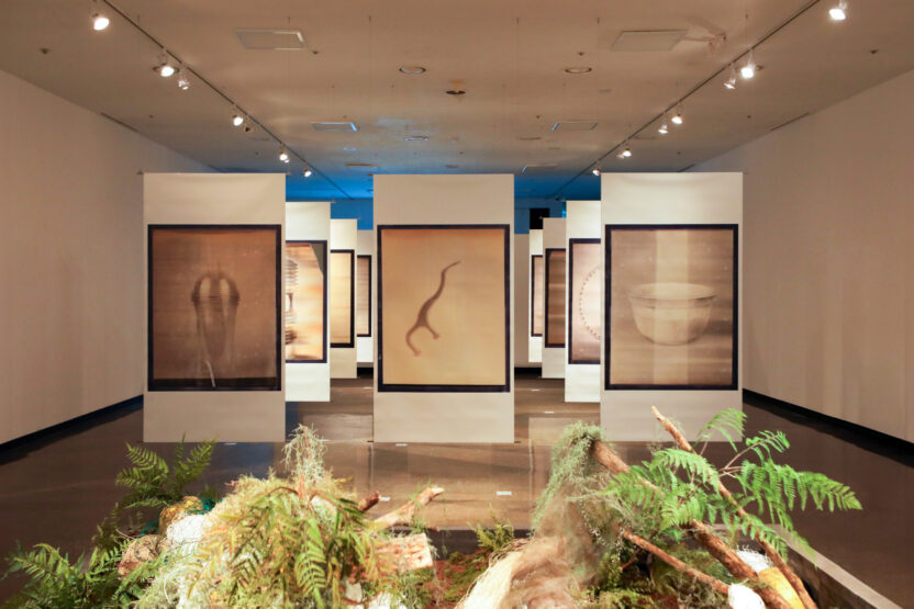 김명중 작가가 해외 셀럽이 아닌 쓰레기를 찍은 이유는? 8 6L7A9647