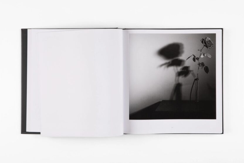 사진가의 본능을 자극한 피사체, 해외 사진집 신간 4 13 9781838668211 3