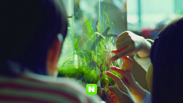 네이버 모바일 심벌·아이콘 리뉴얼 7 140527000002724 O