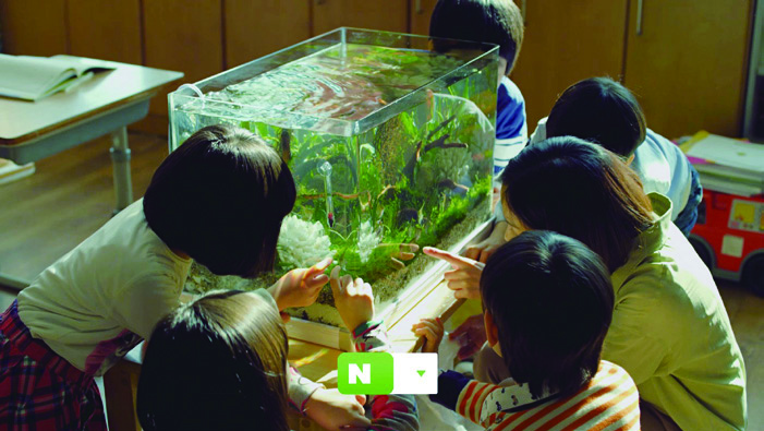 네이버 모바일 심벌·아이콘 리뉴얼 9 140527000002726 O