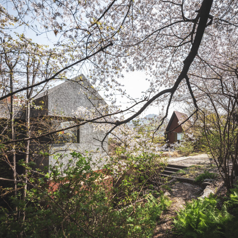 내가 꿈꾸는 삶과 집에 관한 58개의 건축 아이디어 6 4.최욱 축대가 있는 집 2006 2022 장미 사진