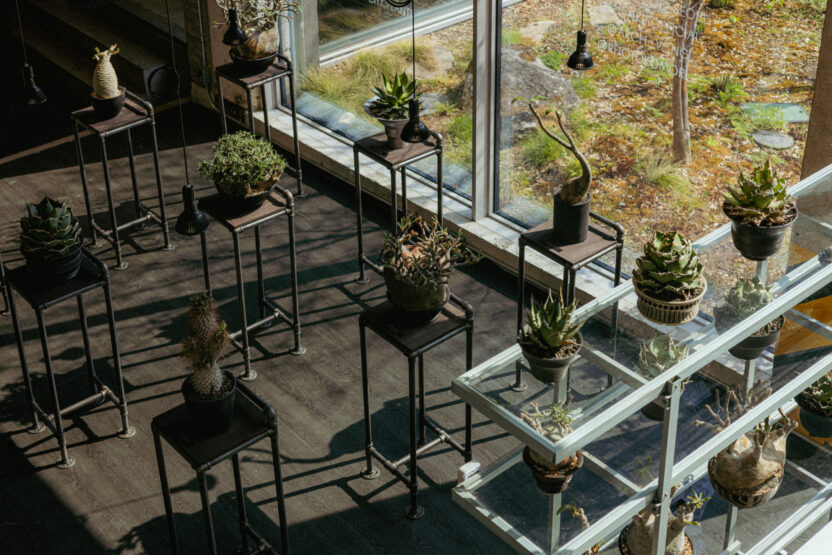 아모레퍼시픽의 크리에이티브 파트너스 프로그램 7 Never Stop Planting 01