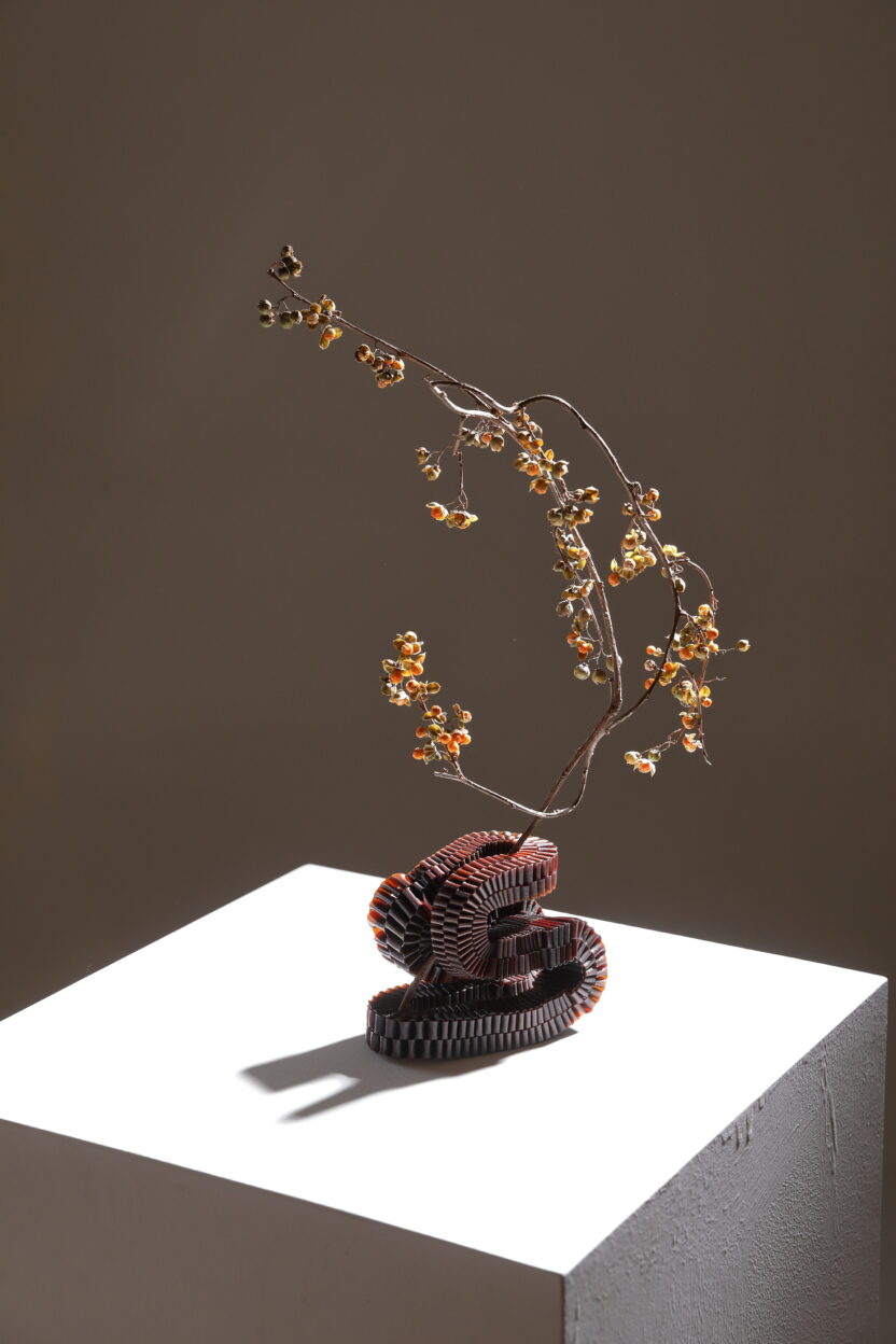 밀라노를 매혹시킨 생분해성 해조류 소재, 디자이너 최수양 3 art 1260