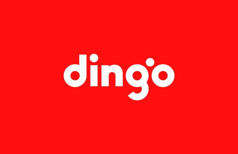브렌든 이도의 대표 22 dingo 1