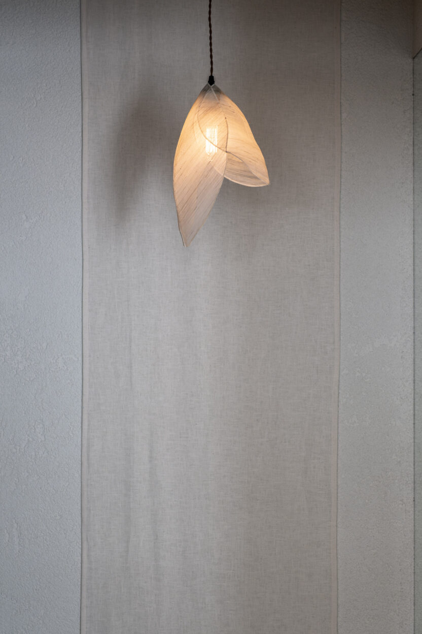 화과자의 화려함 뒤에 숨은 진심, UYOUNG 3 14 5